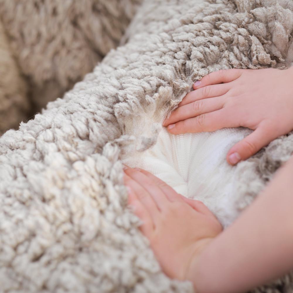 Ce trebuie sa stii despre lana de merinos?