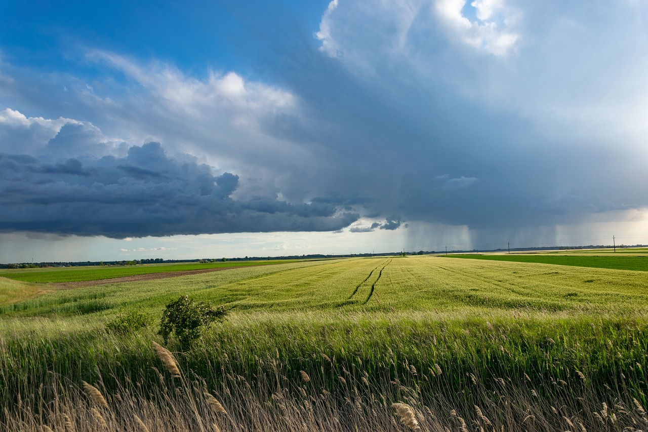 7 idei de afaceri in agricultura