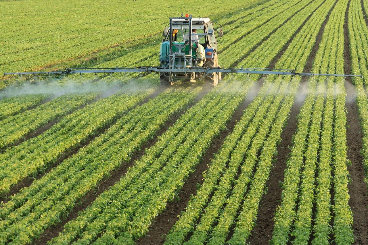 10 idei de afaceri in agricultura, cu fonduri europene